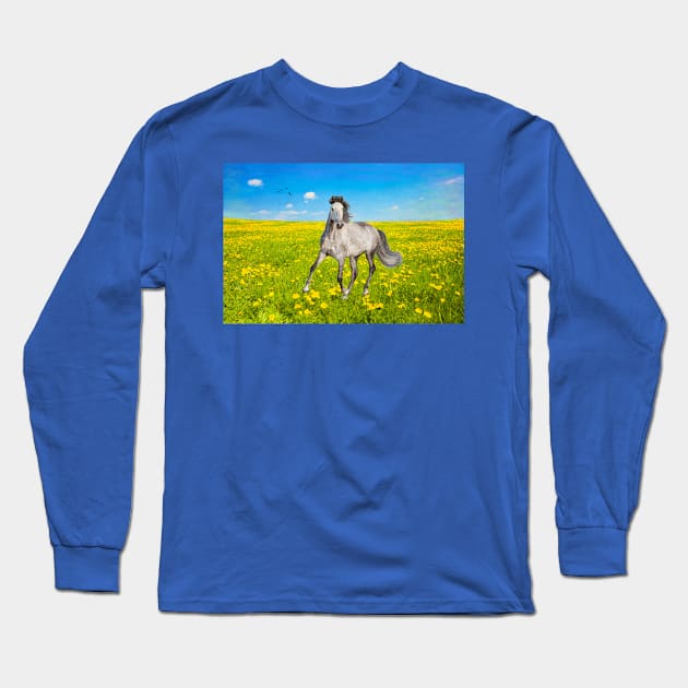 Dapple Gray Horse in Spring Field Long Sleeve T-Shirt by lauradyoung